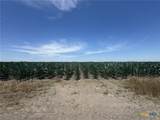 TBD Cr 335 Road - Photo 20