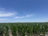 TBD Cr 335 Road - Photo 21
