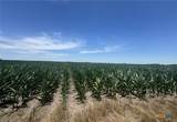 TBD Cr 335 Road - Photo 22