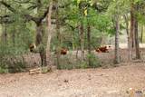 3975 Fm 3158 - Photo 42