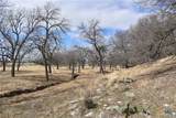 TBD County Road 621 - Photo 12