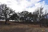 TBD County Road 621 - Photo 17
