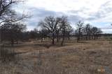 TBD County Road 621 - Photo 6