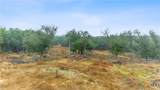 301 Lonesome Trail - Photo 14