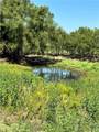 TBD County Road 455 - Photo 11