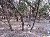 10784 Highview Drive - Photo 7