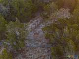 3003 Old Red Ranch Road - Photo 8