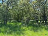 Tract 2 Sh-236 - Photo 18