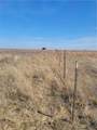 4453 County Road 619 - Photo 12