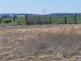 4453 County Road 619 - Photo 8