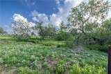 Lot 1-E County Road 491 - Photo 12