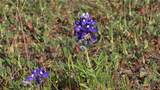 Lot 121 Pitchfork Ranch Road - Photo 5