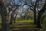 TBD County Road 404 - Photo 13