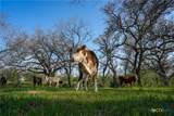 TBD County Road 404 - Photo 14