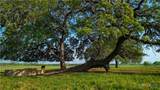 TBD County Road 404 - Photo 2