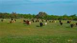 TBD County Road 404 - Photo 23