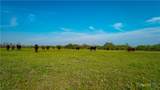 TBD County Road 404 - Photo 26
