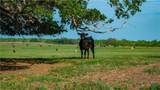 TBD County Road 404 - Photo 3