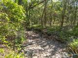 1879 Longhorn Parkway - Photo 12
