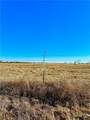 Tract 7 Fm 339 - Photo 4