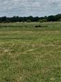 TBD Tx Hwy 46 - Photo 6