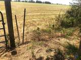 TBD County Road 421 - Photo 16