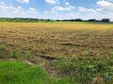 TBD County Road 421 - Photo 4