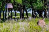 2265 County Road 106 - Photo 9