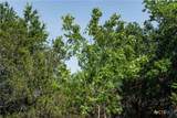TBD County Road 203 - Photo 11