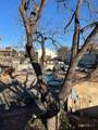 730 Mather Street - Photo 15