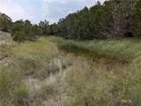 Tract 2 County Road 4390 - Photo 9