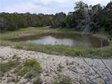 Tract 3 County Road 4390 - Photo 4