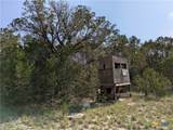 Tract 4 County Road 4390 - Photo 4