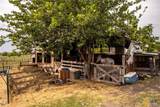 2811 Harris Hill Road - Photo 11