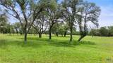 1241 Sandy Oaks Ranch Road - Photo 13