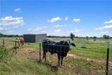 1100, 1150 County Road 308 Road - Photo 12