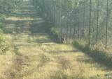 7800 County Road 210 - Photo 23
