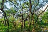 12175 Us Hwy 183 - Photo 16