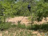 TBD County Road 482 - Photo 19