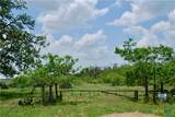 TBD County Road 482 - Photo 2