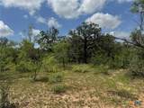 TBD County Road 482 - Photo 36