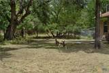 49 Buttercup Loop - Photo 3
