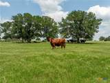 5315 Fm 932 - Photo 28