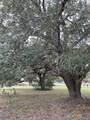 209 Tropical Drive - Photo 12