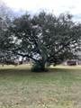 209 Tropical Drive - Photo 15