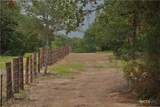 5815 County Road 15 - Photo 38