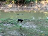 TBD Oglesby Neff Park Road - Photo 41