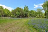 59 acs. Grove Creek  Logue Lane - Photo 10