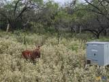 0 Old Seguin Luling Road - Photo 18