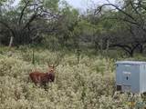 0 Old Seguin Luling Road - Photo 27